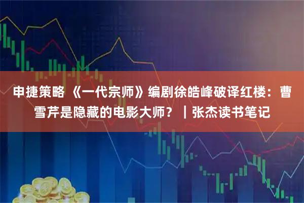 申捷策略 《一代宗师》编剧徐皓峰破译红楼：曹雪芹是隐藏的电影大师？｜张杰读书笔记