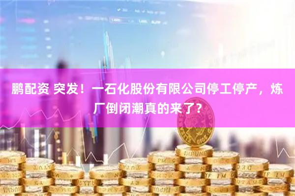 鹏配资 突发！一石化股份有限公司停工停产，炼厂倒闭潮真的来了？