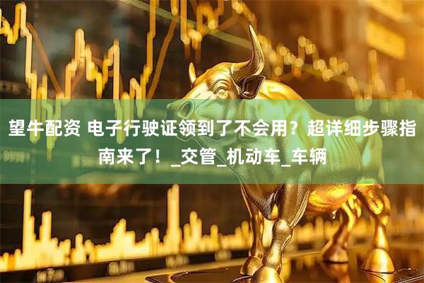 望牛配资 电子行驶证领到了不会用？超详细步骤指南来了！_交管_机动车_车辆