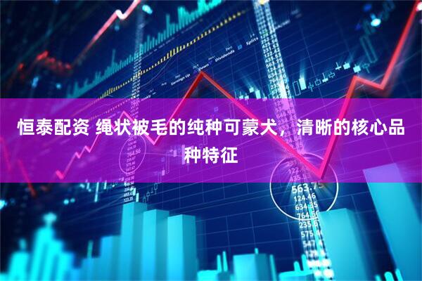 恒泰配资 绳状被毛的纯种可蒙犬，清晰的核心品种特征